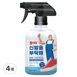홈스타 신발을 부탁해 탈취제 본품