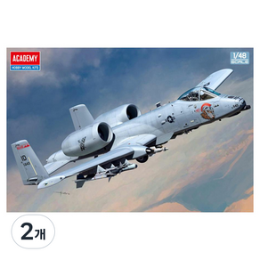 아카데미과학 1/48 미국 공군 A-10C 썬더볼트2 노즈아트 프라모델 12379
