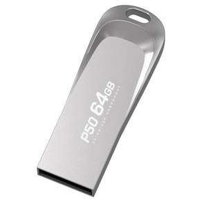 PLEIGO USB 메모리 P50