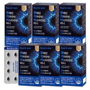 뉴트리디데이 루테인 지아잔틴 아스타잔틴 미니 4.5g