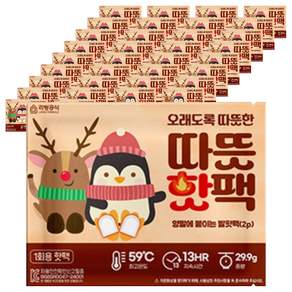 리빙공식 부착형 발난로 따뜻 핫팩 29.9g 2p