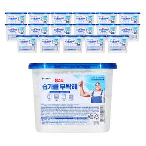 홈스타 습기를 부탁해 제습제 본품