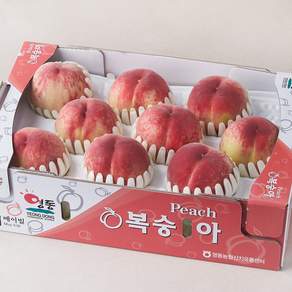 메이빌 GAP 인증 영동 아삭 복숭아 9~12입