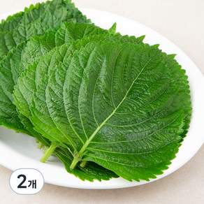 GAP인증 밀양 깻잎
