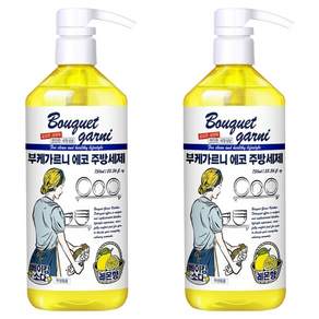 부케가르니 에코 주방세제 레몬향