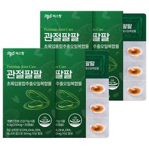 씨스팡 관절팔팔 9.3g