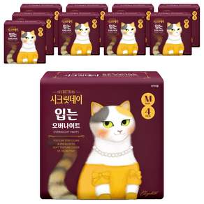 시크릿데이 하트 입는 오버나이트 팬티