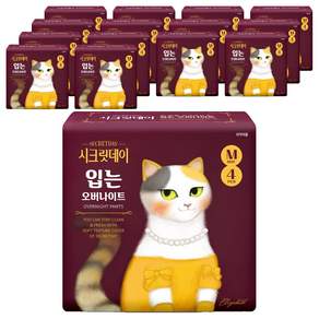 시크릿데이 하트 입는 오버나이트 팬티