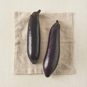 친환경 가지