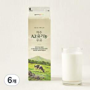 곰곰 제주 A2 유기농 우유