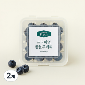 프리미엄 왕 블루베리