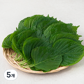 GAP 밀양 깻잎