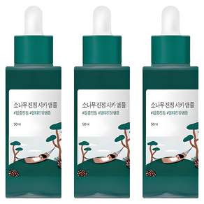 라운드랩 소나무 진정 시카 앰플