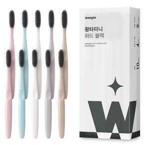 왕타 미니 하드 블랙 칫솔