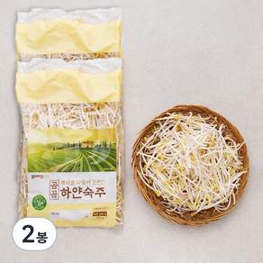 곰곰 뿌리를 다듬어 간편한 하얀숙주 500g