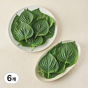 국내산 친환경 깻잎