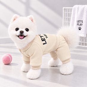파스텔펫 반려동물 렛츠고 트레이닝 올인원
