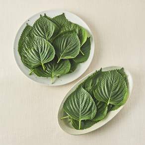국내산 친환경 깻잎