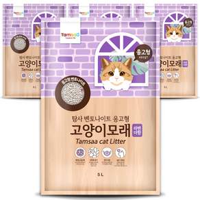 탐사 벤토나이트 응고형 고양이 모래