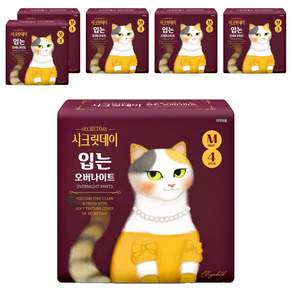 시크릿데이 입는 오버나이트 팬티형