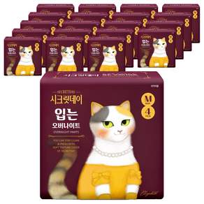 시크릿데이 하트 입는 오버나이트 팬티