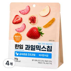 한입 동결건조 과일믹스칩