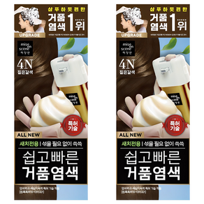 미쟝센 쉽고 빠른 거품 새치전용 염모제
