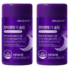 홀리데이즈 잔티젠핏 더 슬림