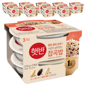 햇반 잡곡밥