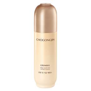 초공진 금설 진 기윤에센스