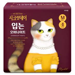 시크릿데이 입는 오버나이트 팬티형