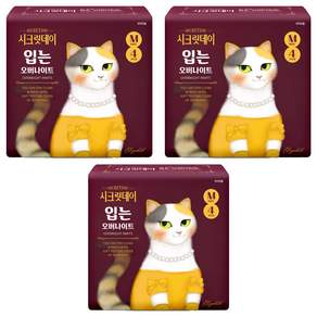시크릿데이 입는 오버나이트 팬티형