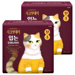 시크릿데이 입는 오버나이트 팬티형