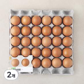 신선 대란 1560g