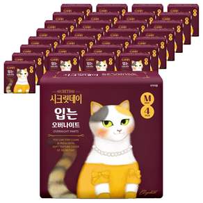 시크릿데이 하트 입는 오버나이트 팬티