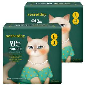 시크릿데이 입는 오버나이트 팬티형