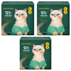 시크릿데이 입는 오버나이트 팬티형