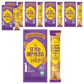 웰트릿 유기농 레몬생강즙 NFC 착즙 원액 진저퀸 14p