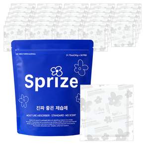 서프라이즈 진짜 좋은 제습제 일반형 30p, 900g, 1개