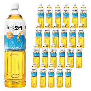 하늘보리