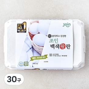 조인 무항생제 백색 왕란