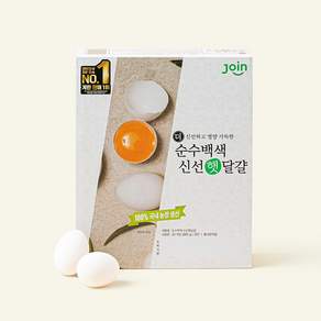 조인 백색 중란