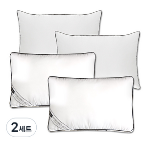 아임리빙 중량업 블랙라인 나노 다운필 소프트 마법 베개솜 2p + AG프리미엄 베개커버 2p 세트