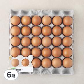 신선 대란 1560g