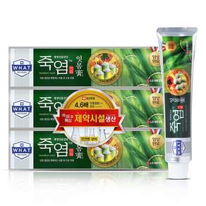 죽염 잇몸고 치약