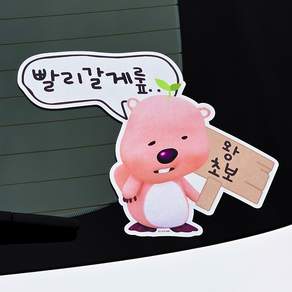 벨르아망 잔망루피 차량용 초보운전 스티커
