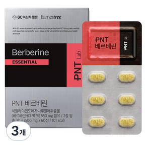 피엔티 베르베린 에센셜