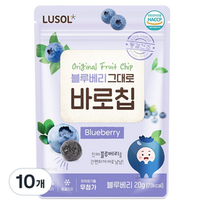 루솔 과일칩 블루베리 그대로 바로칩