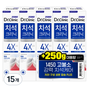 2080 닥터크리닉 대용량 고불소 치석 치약