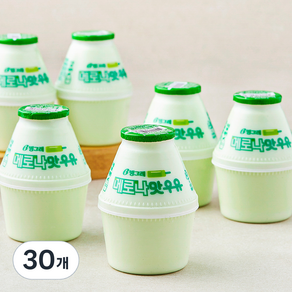 빙그레 메로나맛우유